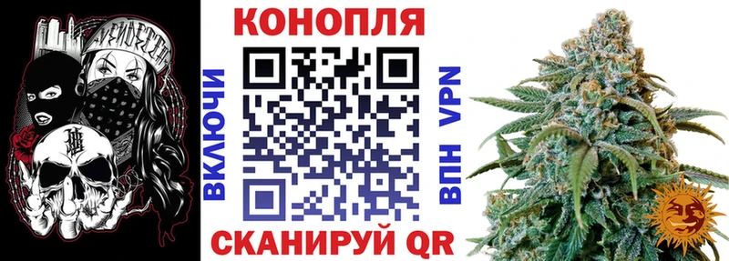 Конопля план  что такое   Сосногорск 